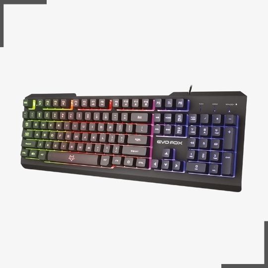Best Gaming Keyboards Under 1000 In India (RGB) - September 2023 4 EvoFox Warhammer
