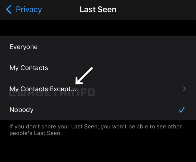 Whatsapp Will Allows You To Hide Your Last Seen From Specific Contacts 2 Whatsapp last seen hide