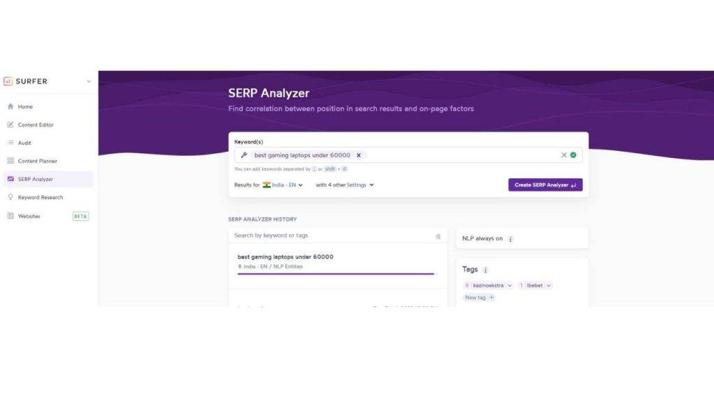 SURFER SERP Analyzer