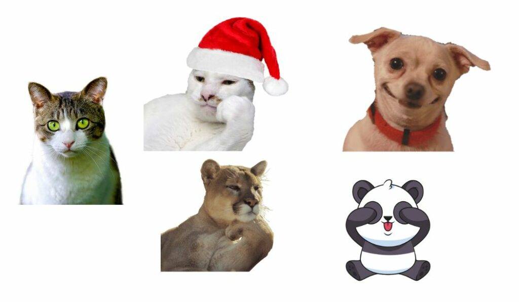 Animals whatsapp Stickers