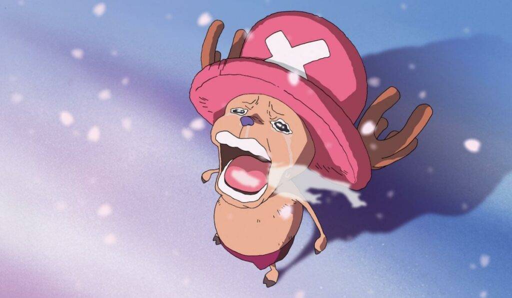 Chopper one piece