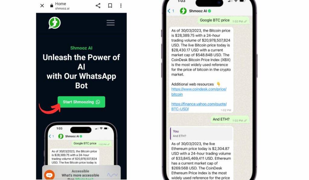 Shmooz.ai whatsapp