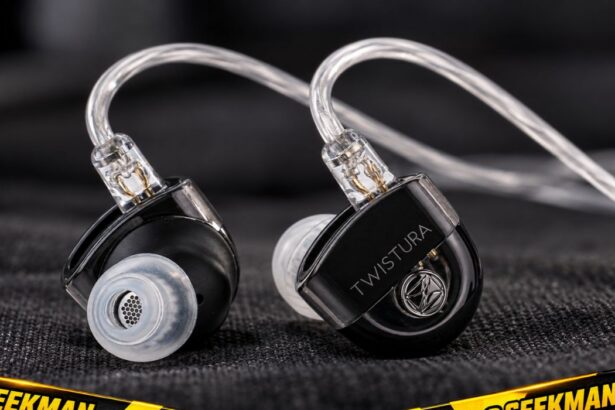 Twistura D-Minor Best IEM in India